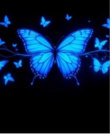 Guest_ebkdream