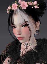 Guest_rhubu