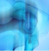 Guest_user2489043800