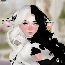 Guest_Rose256082
