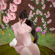 Guest_Aracely542290