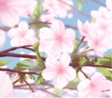 Guest_sayi16