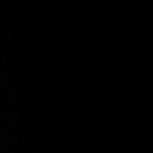 Guest_dark978752