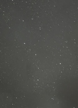 Guest_ariana910035