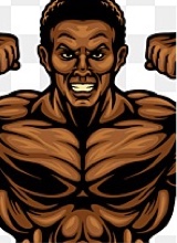 Guest_HAJIBOWNER