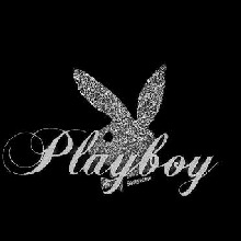 Guest_vxvo