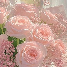 Guest_MrsMolly1