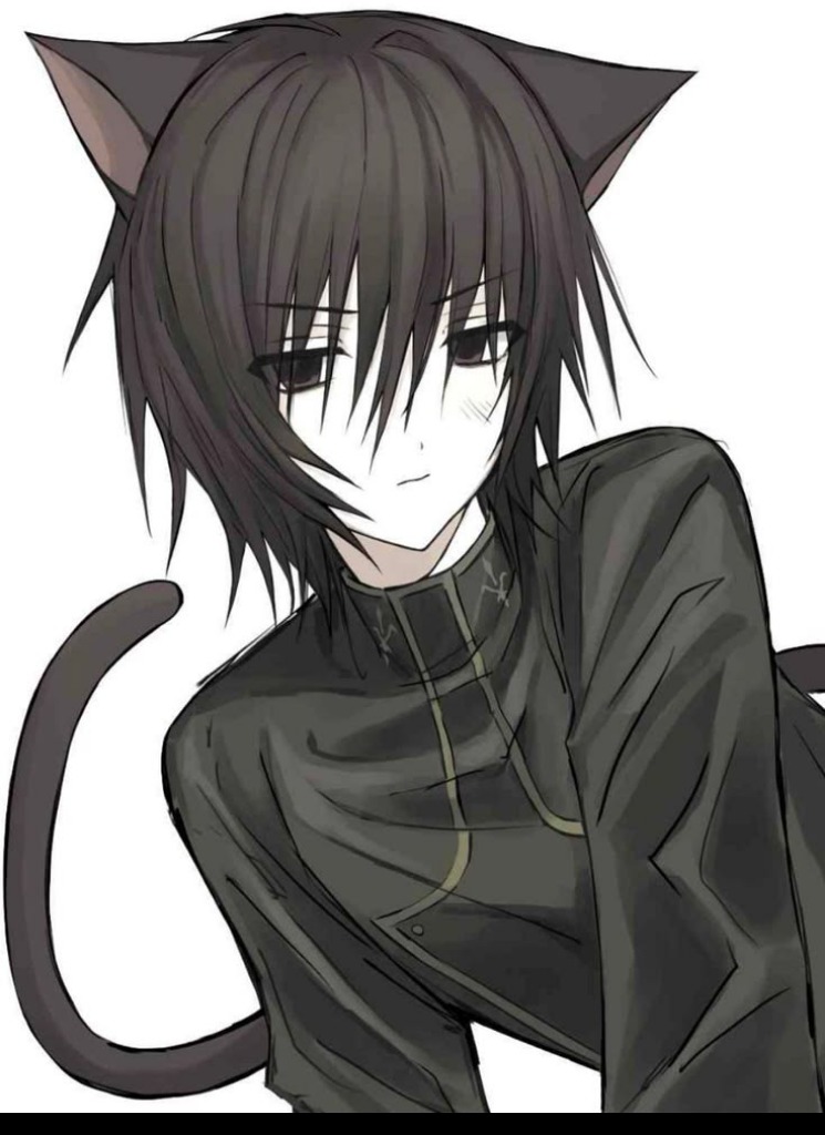 fuko