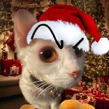 Guest_commanderpastelb692a