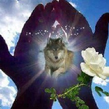Guest_Irma47