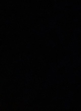 Guest_sarah000007