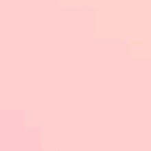 Guest_brook136747