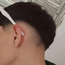 Guest_Felipnzxx
