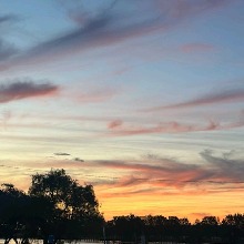 Guest_Gabi96884