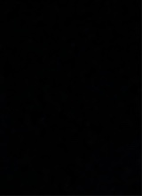 Guest_sarah692986