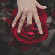 Guest_tetrarchpeachora517c