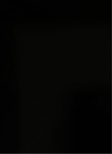 Guest_alex457102