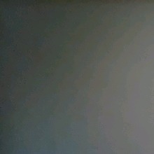 Guest_Badbitch217630