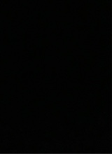 Guest_cam264022