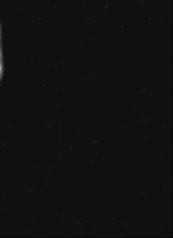 Portrait de l'avatar