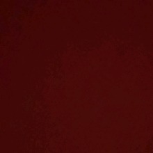 Guest_jdksfhkdsiuereuser204917