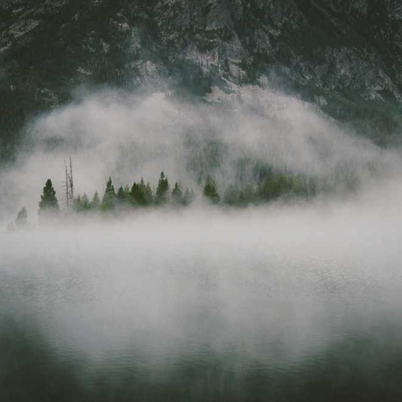 Guest_avemxhjr743