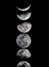 Guest_moon408745