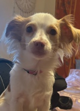 Guest_bailey420