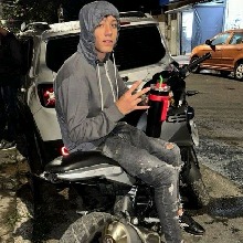 Avatar Bild