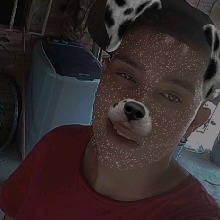 foto del avatar