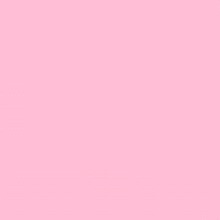 Guest_honeydewpeachyel10d0