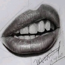 Guest_Mily316230