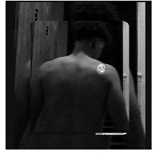 Guest_Erick145798