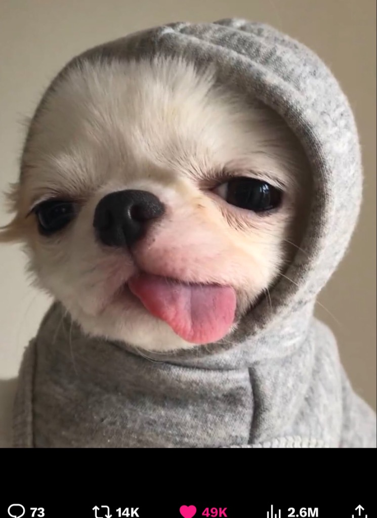 Foto de Avatar