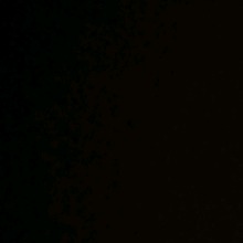 Guest_Siorpbg