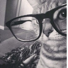 Guest_sergeantflamingoc36f