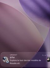 Guest_ims39