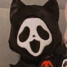Guest_Cbjbcvvu3