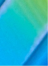 Guest_VEVVO