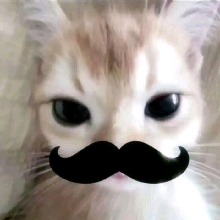 Guest_Itzcacau