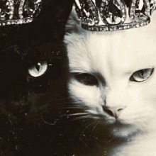 Guest_Katalellamauz
