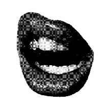 Guest_wwmayy