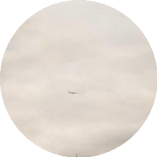 Guest_m1i58n1