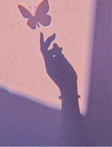 Guest_Le900