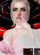 Guest_lilou574025