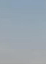 Guest_Sky149078