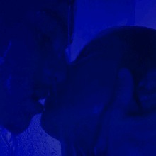 Guest_H4D35