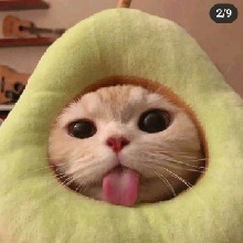 Guest_ScarlettMontalvo