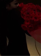 redvioletpersiana161