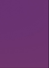 Guest_leena11529